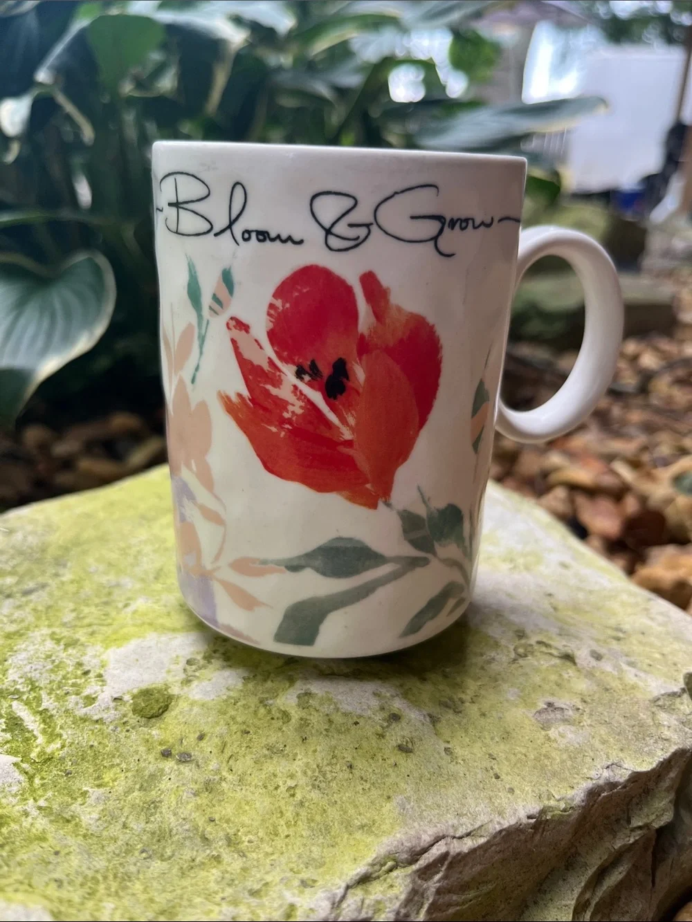 Anthropologie Floral 'Bloom & Grow' Mug in Red, Green, Cream